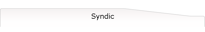 Syndic